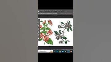 How to do Color Mixing with Replace Color setting in Textile Designing ( Part 4 ) | photoshop class