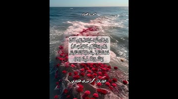 سورة النساء ٢٠ #قرآن #قرآن_كريم #قران #قران_كريم #قرأن #quran