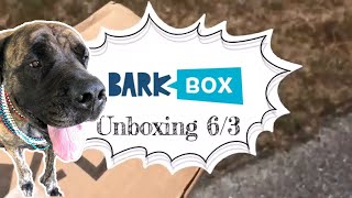 Barkbox June 2021