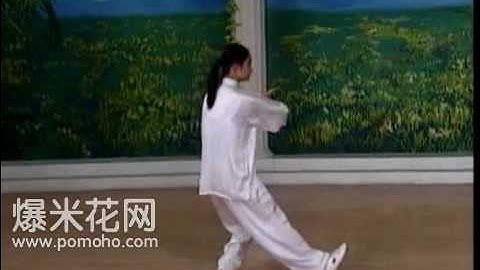 8-form Tai Chi Demo (Back)