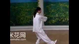 8-form Tai Chi Demo (Back)