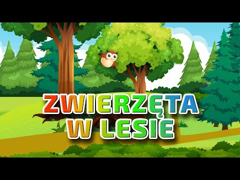 Zwierzęta Lasu 🦊 Nauka zwierząt dla najmłodszych !