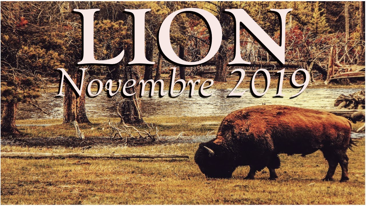 LION novembre 2019 REFRENEZ TOUTE IMPULSIVITE !!!!! YouTube