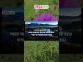 সূরা ফালাক | জাদু, জিন ও মানুষের বদনজর  থেকে নিরাপদে থাকার জন্য  | Surah Falaq by Alaa Aqel