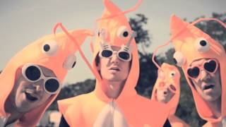 Miniatura de vídeo de "Fantastic Mister Zguy ~ Shrimp Fishery (official video)"