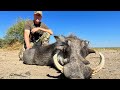 Warthog fever  hunting big warthogs with kristoffer clausen episode 810