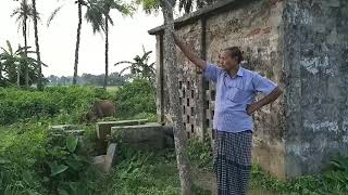 Bangladesh Village I মাঠের দৃশ্য বাংলাদেশ