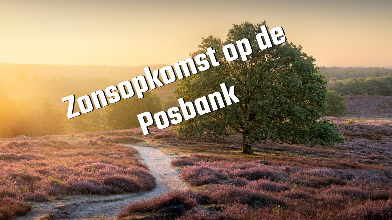 Zonsopkomst op de Posbank #20