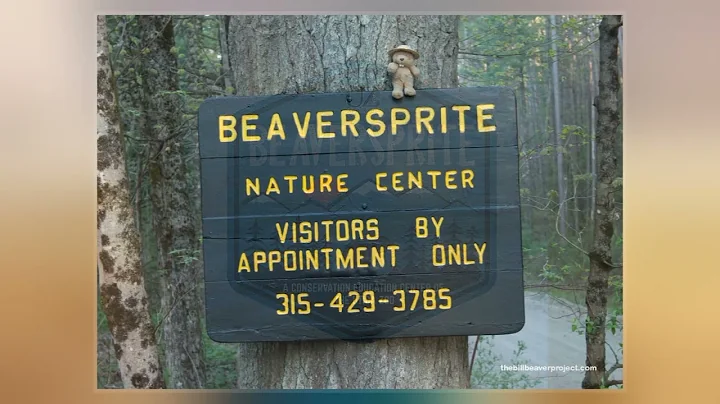 Beaversprite