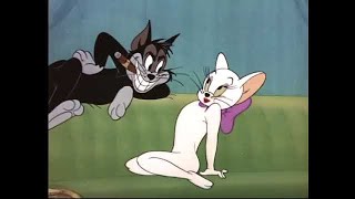 ᴴᴰ Tom And Jerry, Episode 55 - Casanova Cat 1950 - P23 Tajc Duge Mite