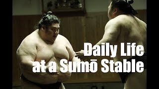 Daily Life at a Sumō Stable | nippon.com