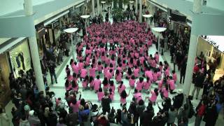 Anti-Bullying Flashmob January 2011(, 2011-02-05T13:03:29.000Z)