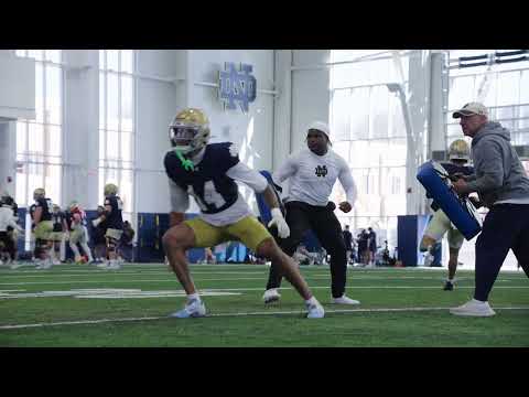 📬 Dear Irish Nation, Pads were on today!