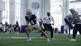 Dear Irish Nation, Pads Were On Today