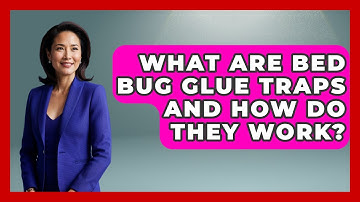 What Are Bed Bug Glue Traps And How Do They Work? - Insects and Invaders