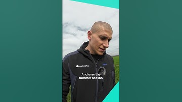 🐝 Monitoring insect activity in agricultural fields 🌾