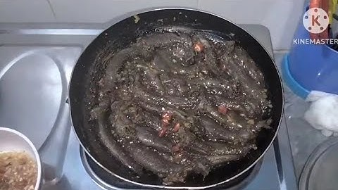 Hào cơm với món cá thòi lòi khó tiêu