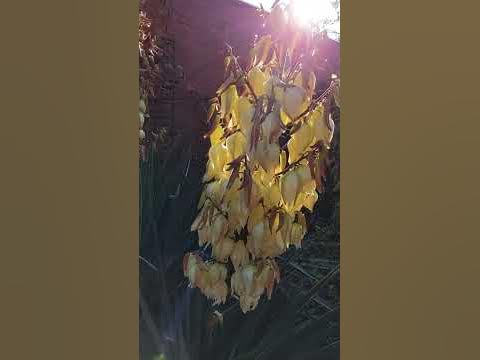 Амин! ☝☝☝ - YouTube