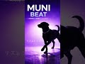 【黒ラブ･ムニ】MUNI BEAT｜オリジナル曲 Short Ver.