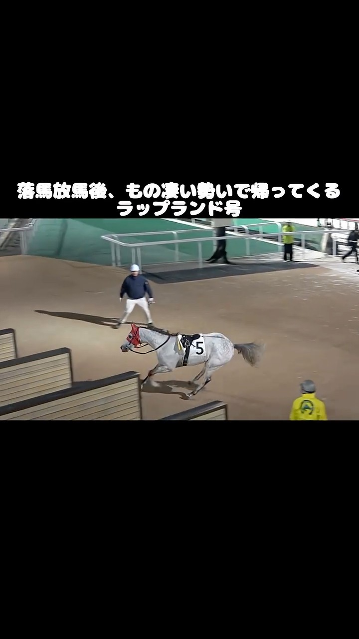 Lapland returns with great force after being thrown off his horse