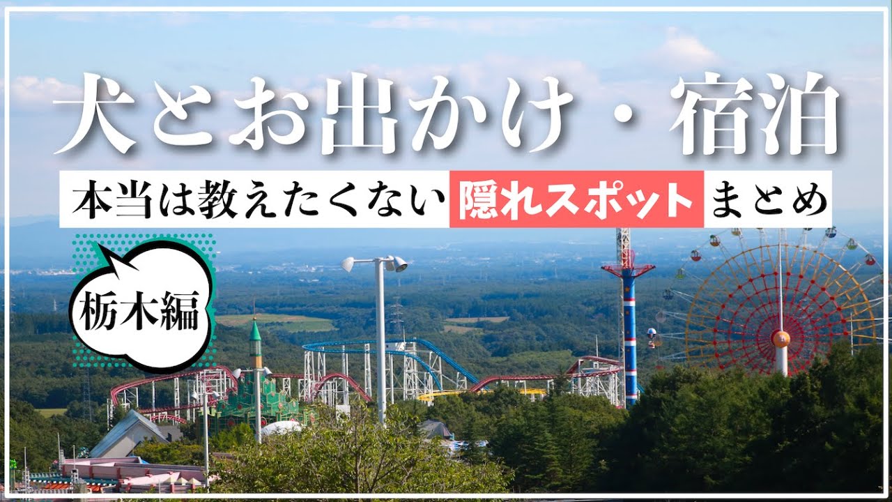 【愛犬とお出かけ・宿泊旅行】絶対失敗しない！栃木県那須高原イッキ見！おすすめ隠れスポットまとめ（登山・隠れ家ステーキ・フォレストヒルズ那須客室露天風呂と那須ハイランドパークで天空遊園地初体験）