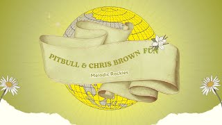 Pitbull- Fun (feat. Chris Brown) | House | MR- NCS Fanmade