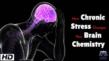 How Chronic Stress Changes Your Brain Chemistry: The Hidden Neurological Impact