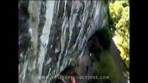 STEVE MCCLURE ON MUTATION