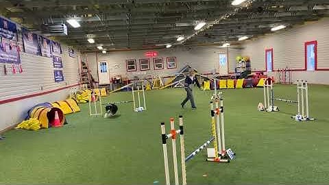 UKI Home Trial 69 40 13th-24th November 2025 Jumping 1 Kiwi D24924