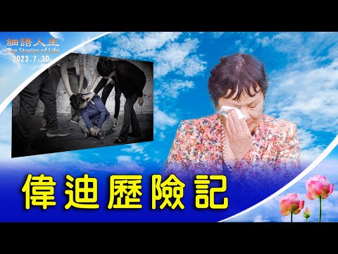 【细雨人生】伟迪历险记