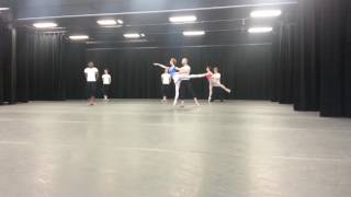 partnering plus arabesque promenade