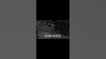 قران كريم بصوت جميل الشيخ ياسر الدوسري #اكسبلور #المصحف #لايك #الرحمن #راحة_نفسية