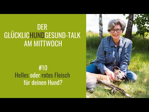 Video: Ist rotes Fleisch gut für Hunde?