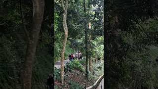 Download Lagu #dago #pakar #tahura #bandung #jelajahkotabandung MP3