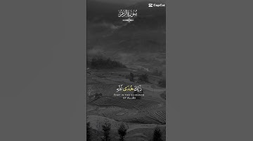 سورة الزمر الاية 23 بصوت جميل ♥️