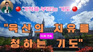 ➕️🛐➕️ (50회 연속) 