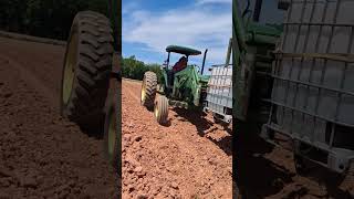 Nos tocó regar las plantitas #tabaco #viral #agricultura #h2a #mexico #usa #shortvideo #viralshort