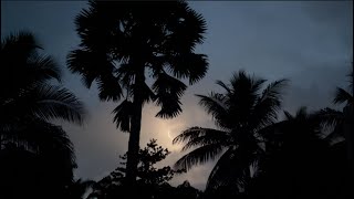 Distant Floridian Thunderstorm
Distant Floridian Thunderstorm
https://www.youtube.com/channel/UCzOcZ9oDfJyqTfeUXIRmH3A?sub_confirmation=1
https://www.youtube.com/watch?v=WcBNQm1gG8c&list=PLAcmE3jTJkWtE218hBQVka5wE0eo_lrvo
https://twitter.com/TravelGames3
https://www.facebook.com/groups/426447948167454/
#FloridianThunderstorm, Distant Floridian Thunderstorm