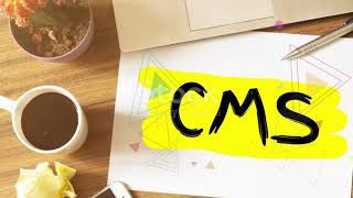 Web Designing How To Choose A Proper Web Project,