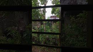 Calming Window Rain as the Storm Slowly Fades #relaxing