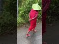 using leaf ambarella. in rain