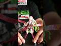 Quick Unboxing Daiki BUZZmod. from Kimetsu no Yaiba #shorts
