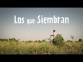 Los que Siembran - Documental