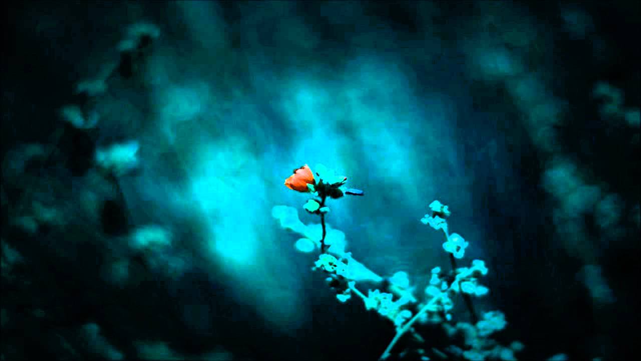 Gultskra Artikler - Vsegda Krasni Cvetok