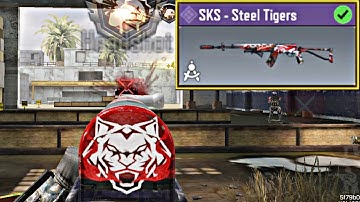 SKS - Steel Tigers + Gunsmith