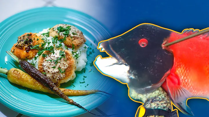 Easy Fish Cake Recipe - Spearfishing Delicious She...