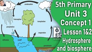 Science. Grade 5 unit 3. Concept 1. Hydrosphere and Biosphere Lesson 1and 2. حل اسئلة كتاب المعاصر