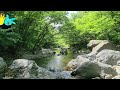 장유, #계곡물소리 #The sound of water in a valley , #힐링