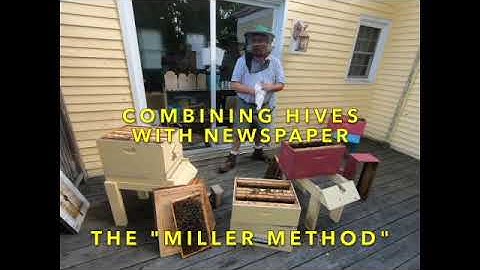 Combining two beehives with newspaper
