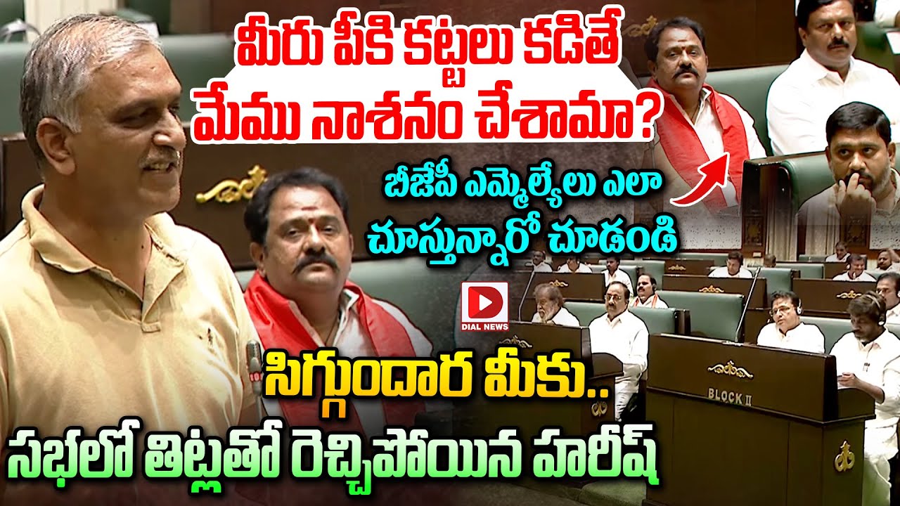 సిగ్గుందార మీకు..సభలో తిట్లతో రెచ్చిపోయిన హరీష్ || Harish Rao Fire Commetns in Assembly || Dial News
